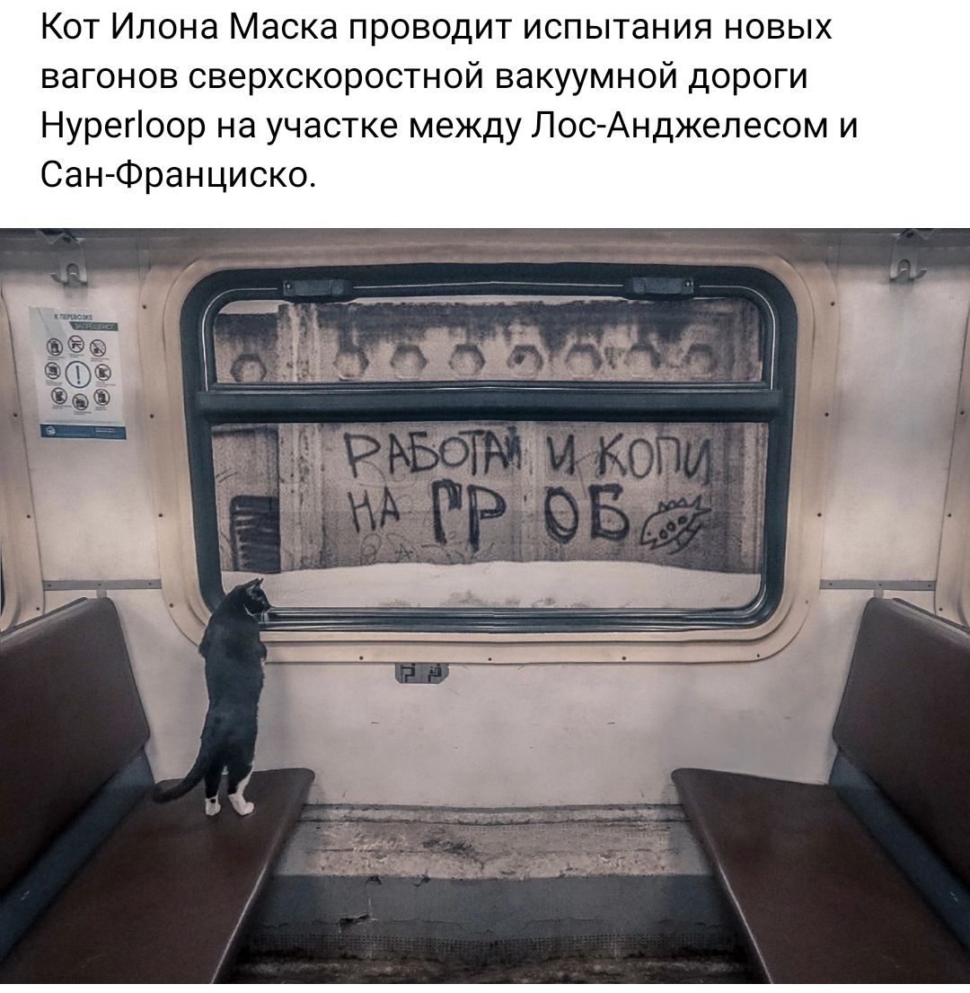Кот Илона Маска проводит испытания новых вагонов сверхскоростной вакуумной дороги Нурепоор на участке между ПооАиджепесом и СангФранцискв