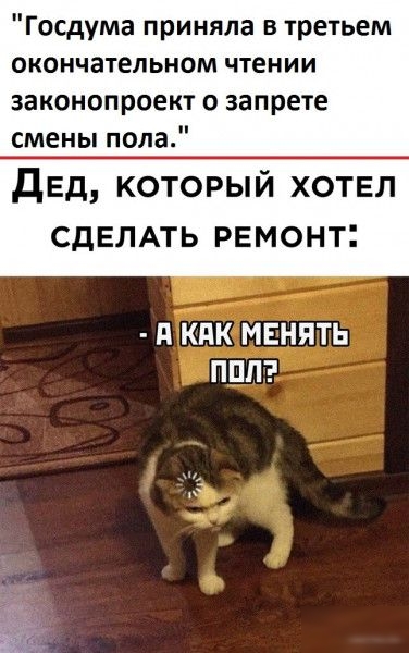 Госдума приняла в третьем окончательном чтении законопроект о запрете смены пола дЕд который хотел СДЕЛАТЬ РЕмонт д КПК МЕНЯТЬ ППЛ