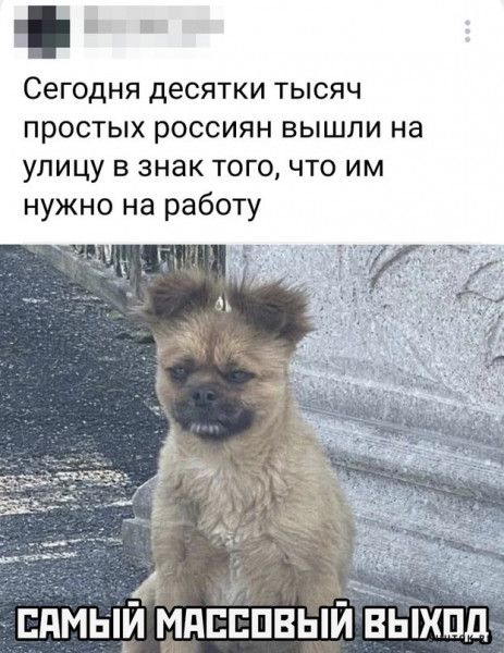 Сегодня десятки тысяч простых россиян вышли на улицу в знак того что им нужно на работу дМьій мдпппвыйЪыхпд