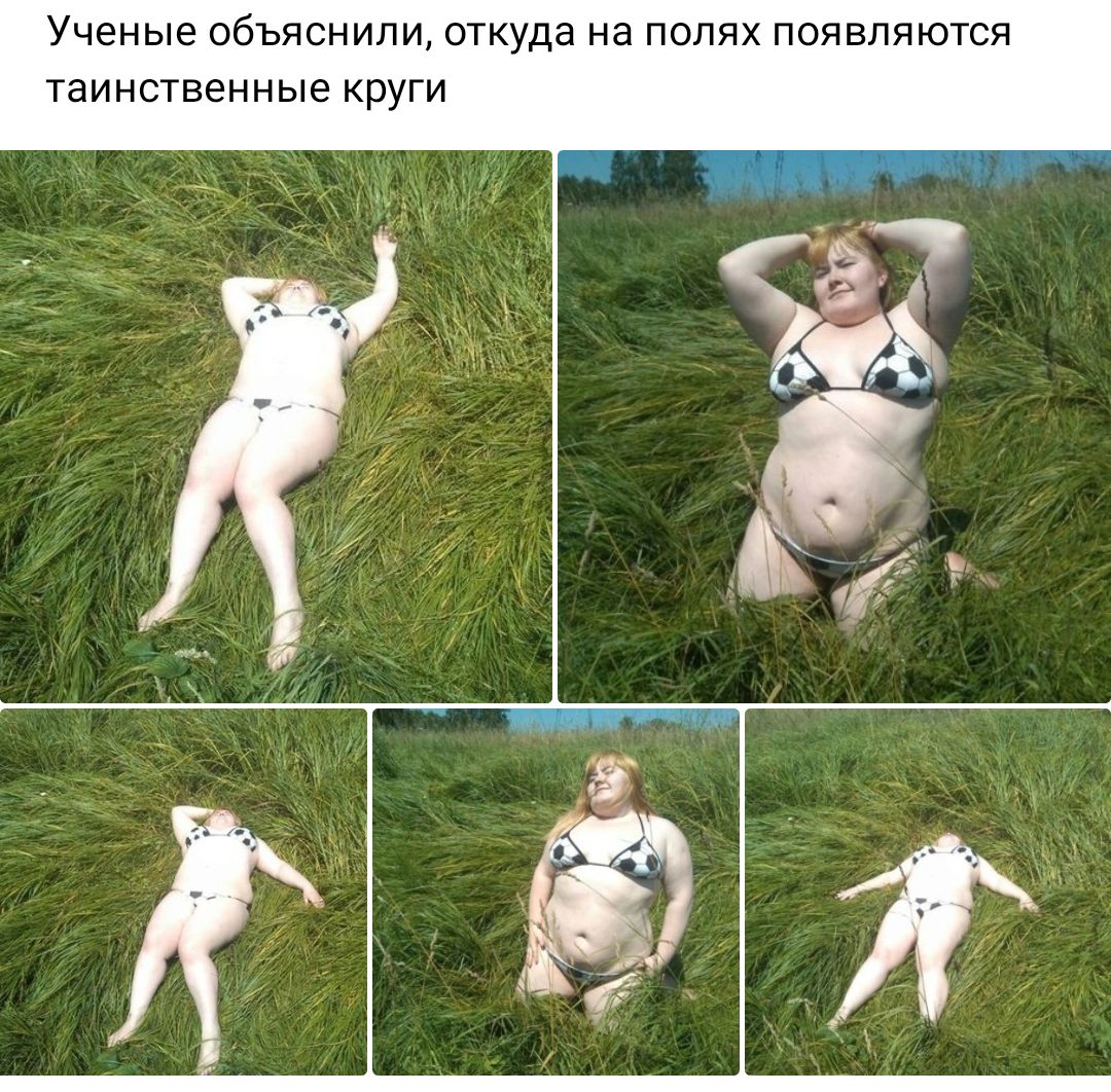 Ученые объяснили откуда на полях появлятся таинственные круги