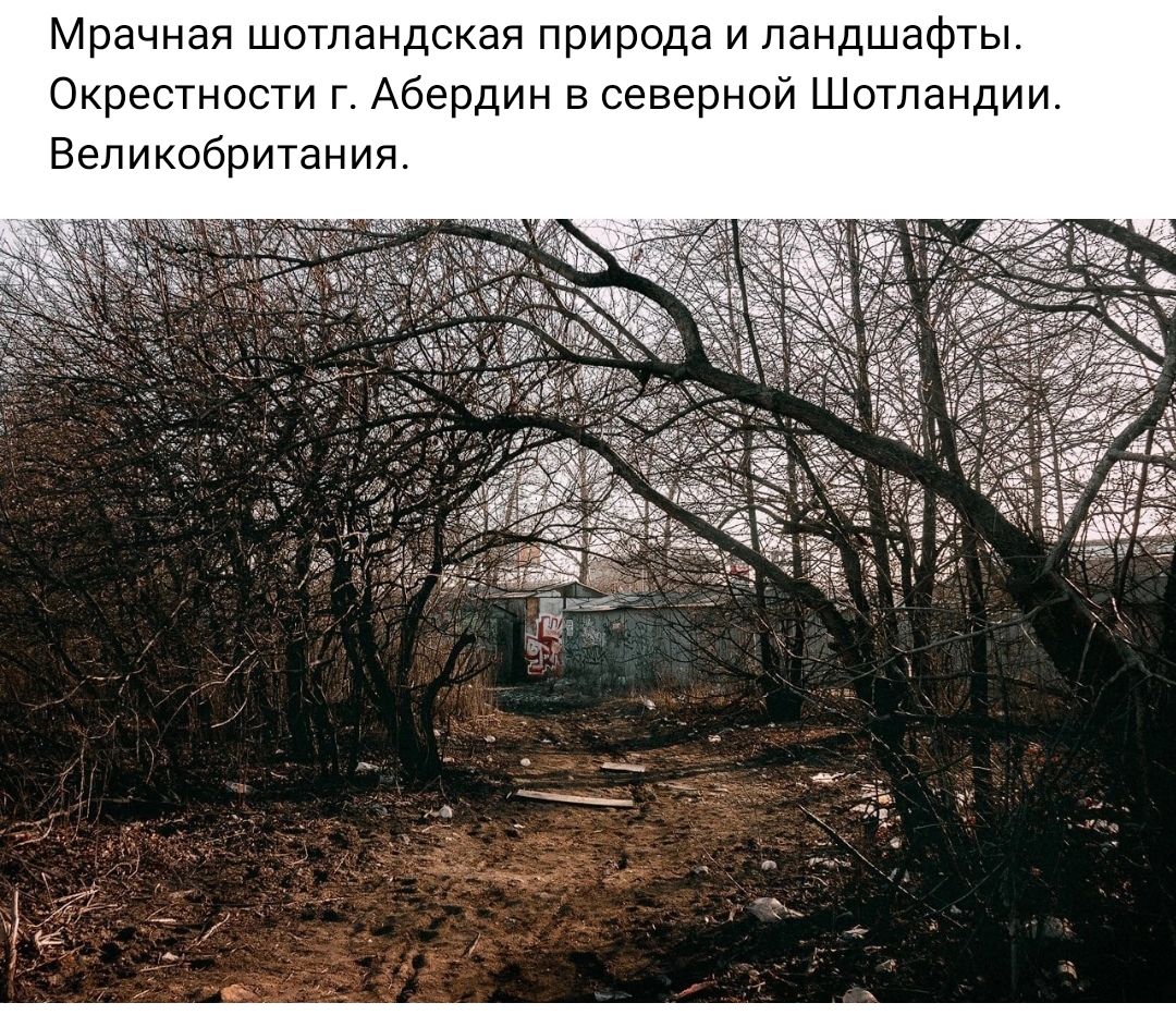 Мрачная шотландская природа и ландшафты Окрестности г Абердин в северной Шотландии Великобритания