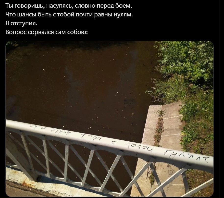 гишришь пунш Всем ч шансы бьпь твои пищи равны улш я щаупил в спрвдлки шем