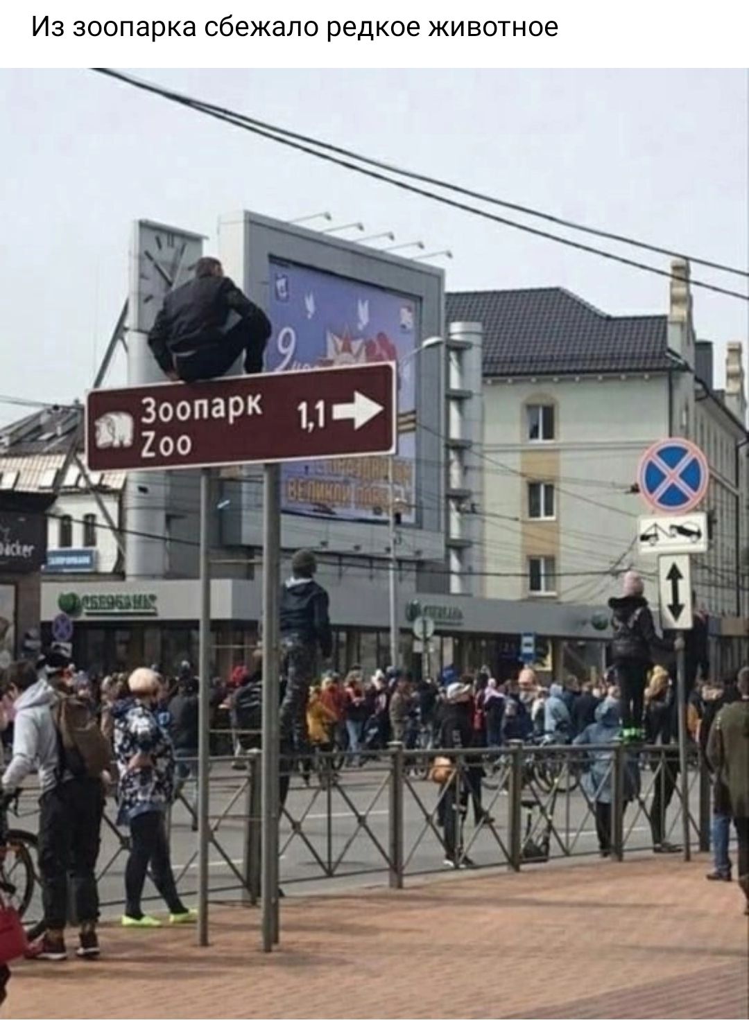 Из зоопарка сбежала редкое животное