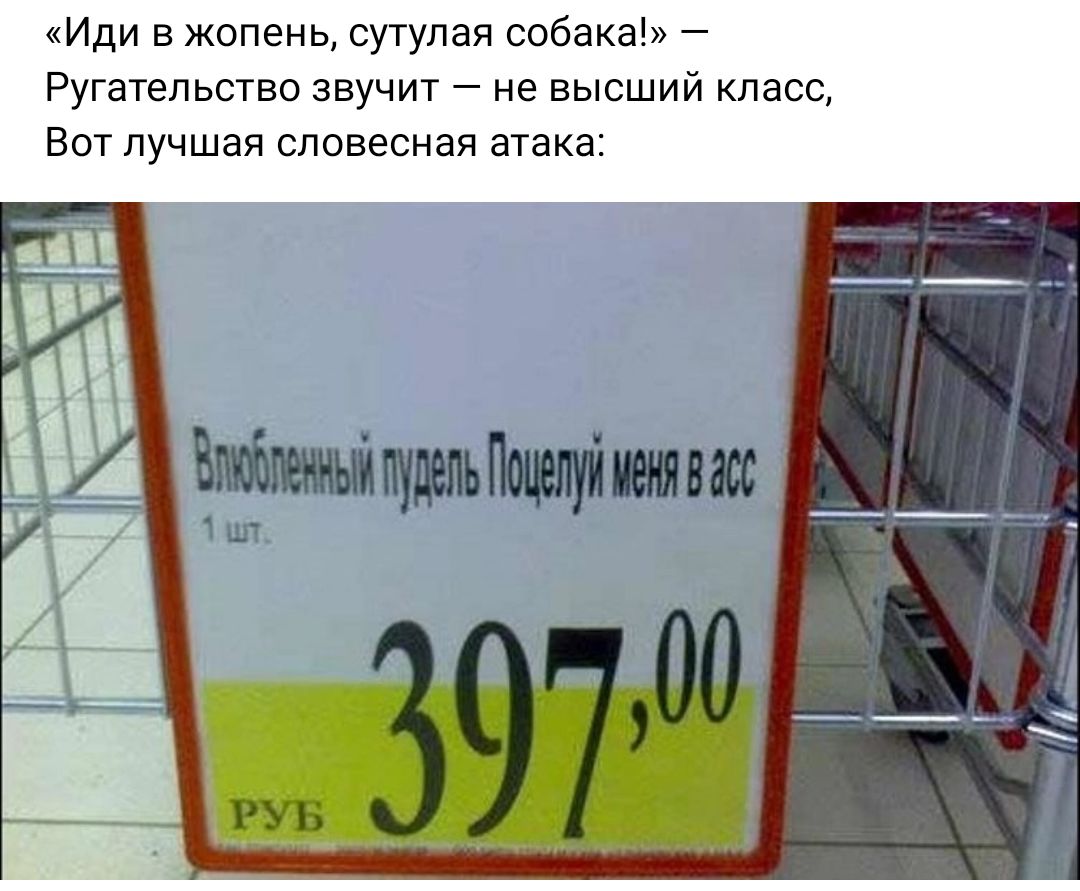 Иди в жопень сутулая собака Ругательства звучит не высший класс Вит лучшая словесная атака