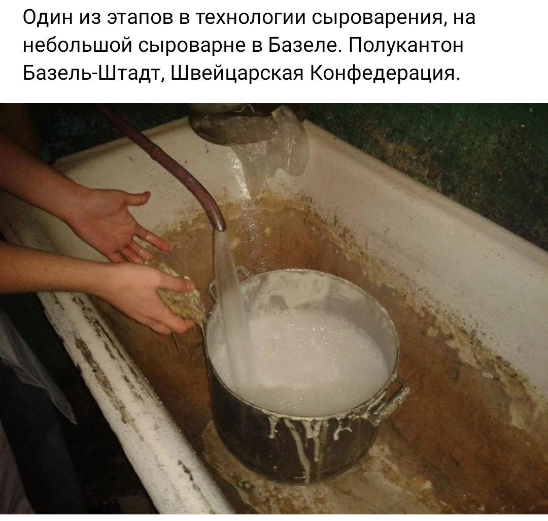 Один из этапов в технологии сыроварения на небольшой сыроварне Базеле Полукантон БазельШтат Швейцарская Конфедерация