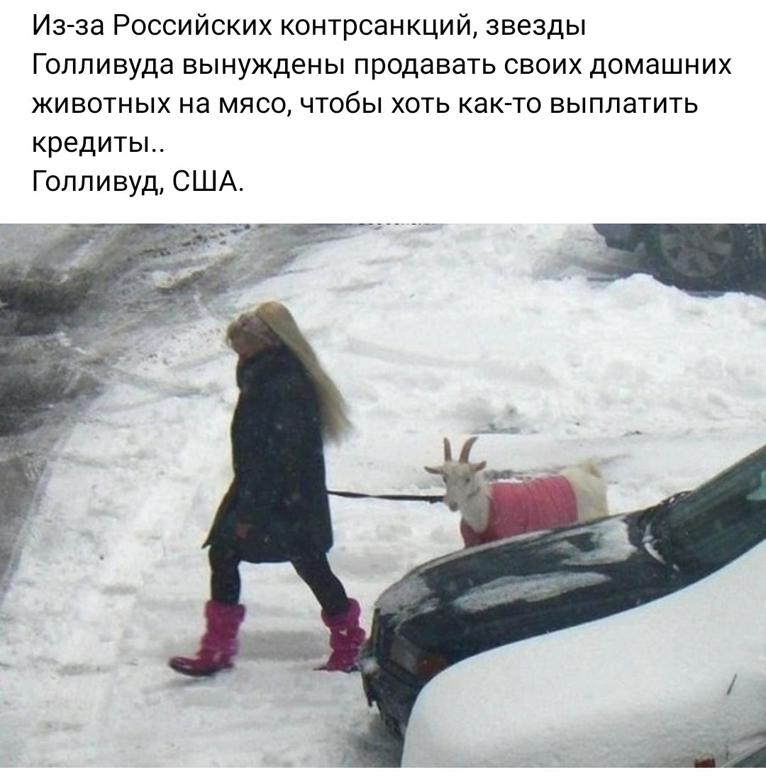 Изза Российских коитрсанкций звезды голливуда вынуждены продавать своих домашних животных на мясо чтобы хоть как то выплатить кредиты Голливуд США