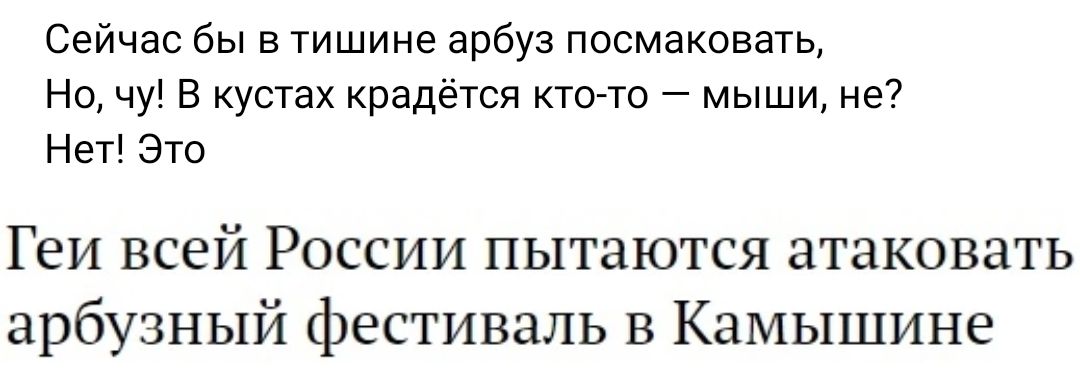Сейчас бы в тишине арбуз посмаковать На чу в кустах крадется ктото мыши не Нет Это Геи всей России пытаются атаковать арбузный фестиваль в Камышине