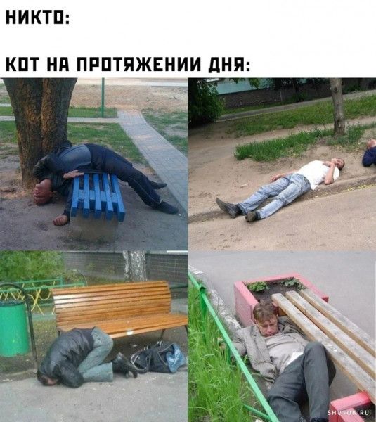 НИКТП КПТ НП ПРПТЯЖЕНИИ дНЯ