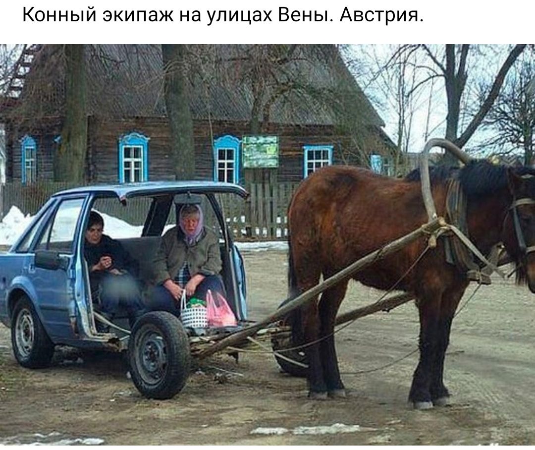 Конный экипаж на улицах Вены Австрия