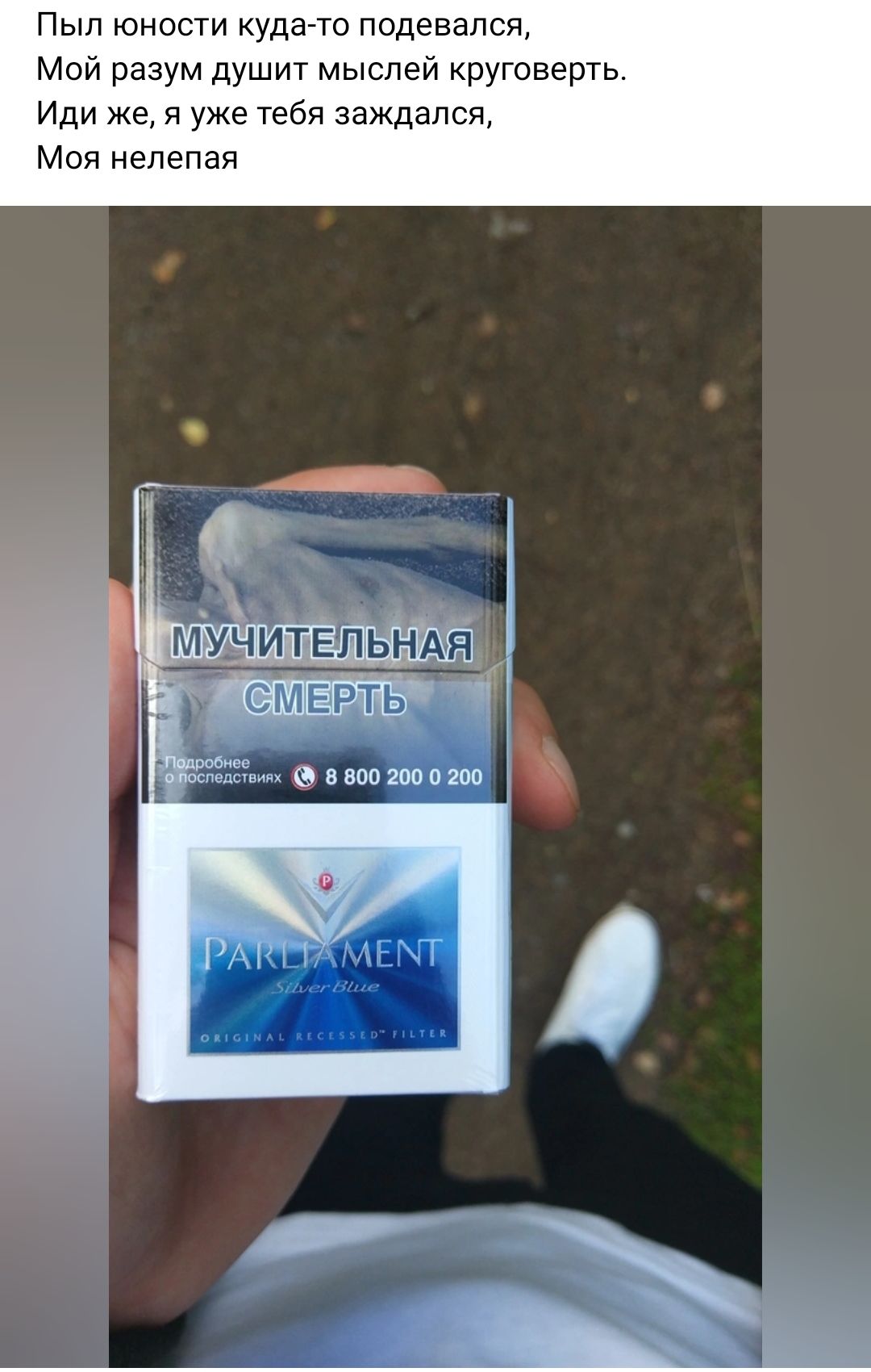 Пып юности куда то подевапся Мой разум душит мыслей круговерть Иди же я уже тебя зеждапся Моя нелепая