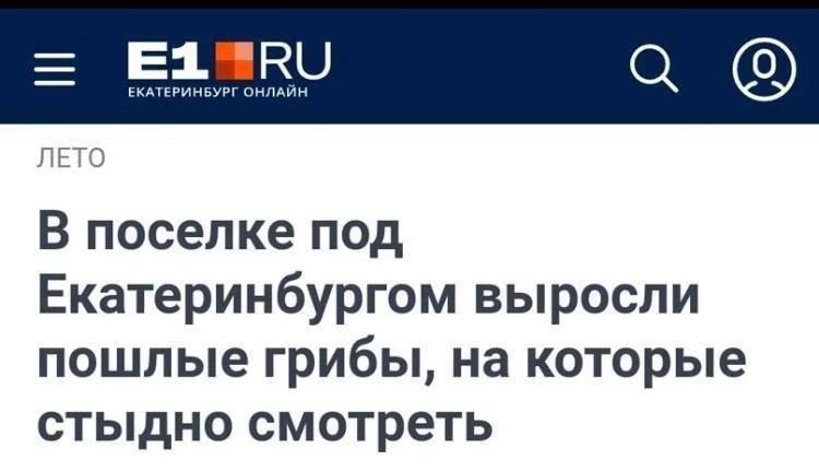В поселке под Екатеринбургом выросли пошлые грибы на которые стыдно смотреть