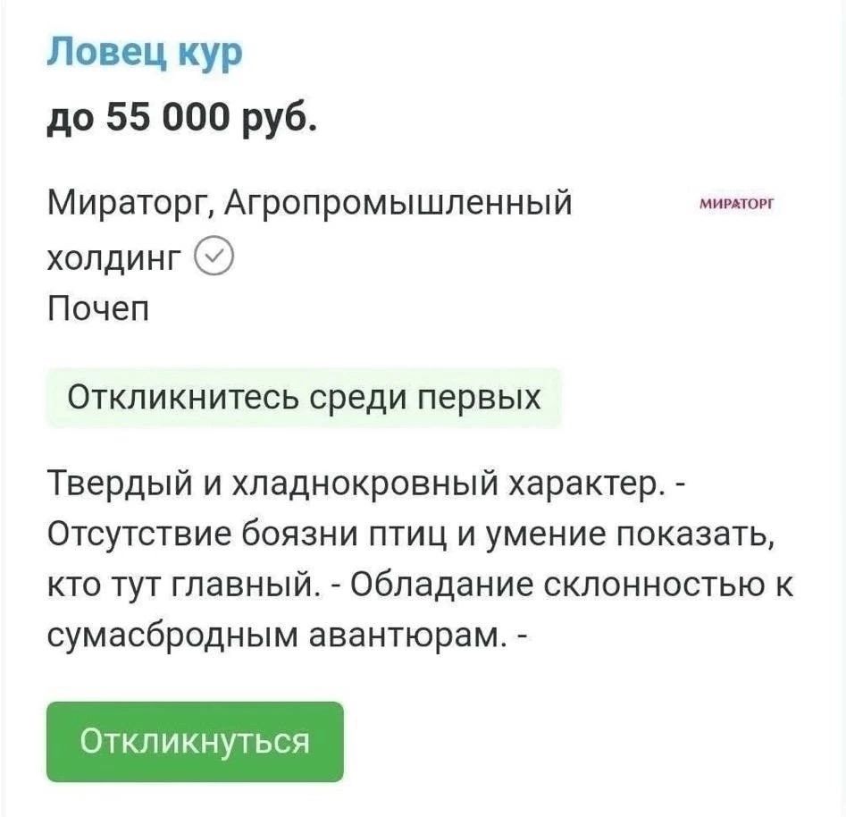 Ловец кур до 55 000 руб Мираторг Агропромышленный холдинг Почеп Откп икн итесь среди первых Твердый и хладнокровный характер Отсутствие боязни птиц и умение показать кто тут главный обладание склонностью к сумасбродным авантюрам дп пикнут