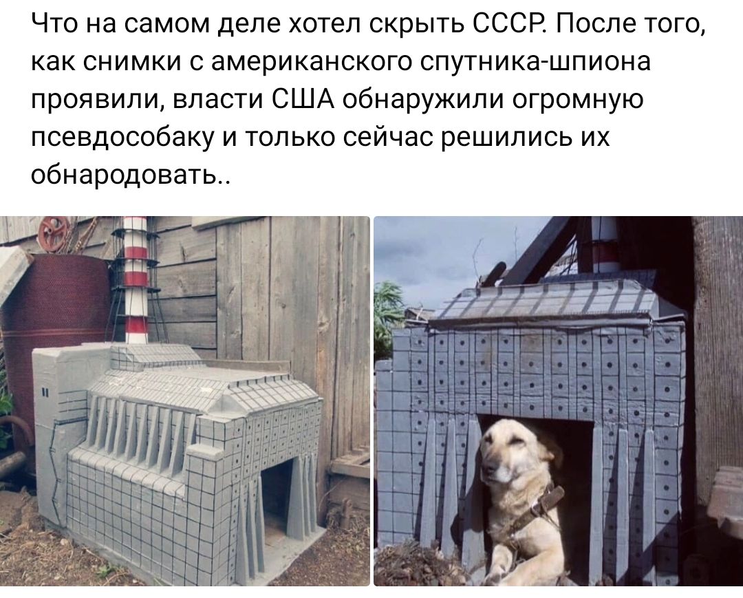 Что на самом деле хотел скрыть СССР После того как снимки американского спугникашпиона проявили власти США обнаружили огромную псевдособаку и только сейчас решились их обнародовать