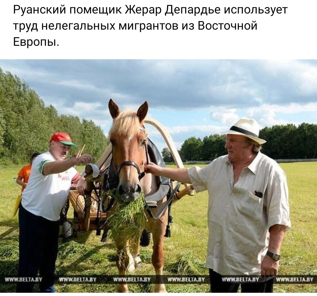 Руанский помещик Жерар Депардье использует труд нелегальных мигрантов из Восточной Европы