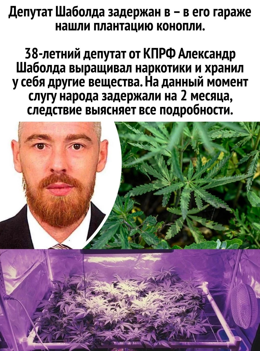 депутат Шаболда задержан в в его гараже нашли плантацию конопли 38 летний депутат от КПРФ Александр Шаболда выращивал наркотики и хранил у ебя другие вещества На данный момент лугу народа задержали на 2 месяца итедствие выясняет все подробности