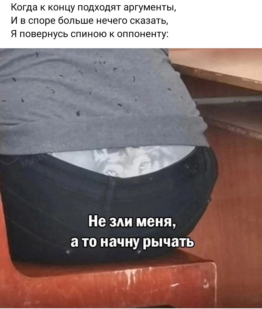 Когда к концу подходят аргументы и в споре больше нечего сказать Я повернусь спиною оппоненту Не зди меня а то начну рычать