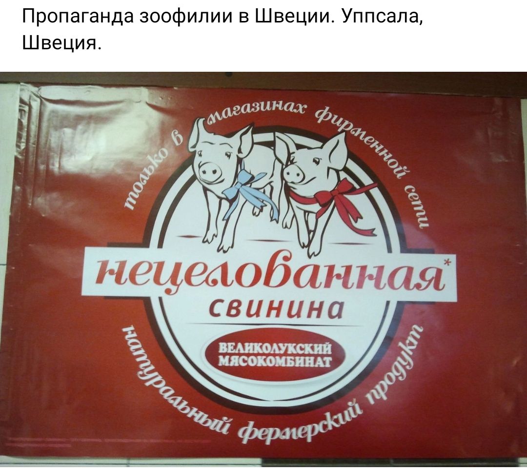 Пропаганда зоофилии Швеции Уппсапа Швеция