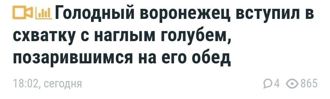 Пим Голодный воронежец вступил в схватку наглым голубем позарившимся на его обед