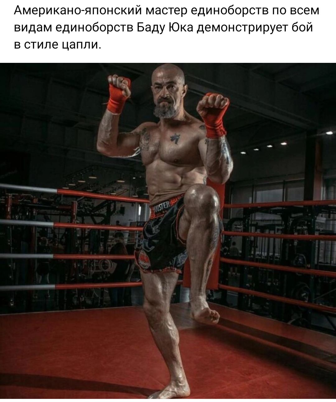 Американо японский мастер единоборств по всем видам единоборств Баду Юка демонстрирует бой в стиле цапли