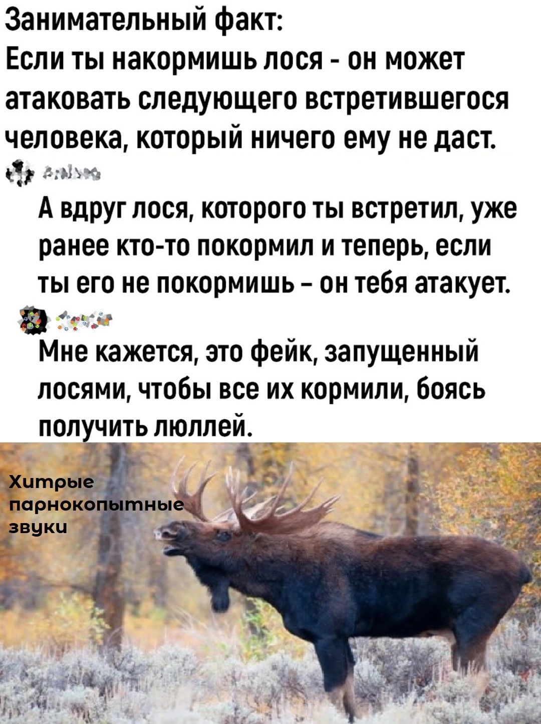 Занимательный факт Если ты накормишь лося он может атаковать следующего встретившегося человекакоторый ничего ему не даст А вдруг лося которого ты встретил уже ранее КТО ТО ПОКОРМИЛ И теперь если ТЫ его не ПОКОПМИШЬ ОН тебя ЗТЗКУЕТ а Мне кажется это фейк запущенный лосями чтобы все их кормили боясь получить пюппей