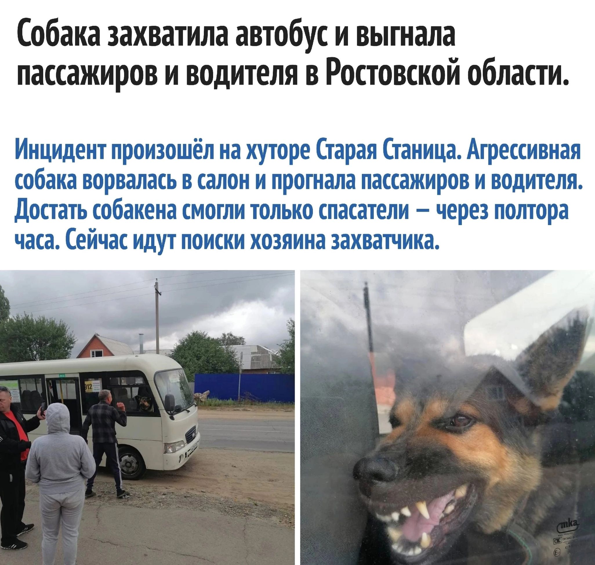 Собака захватила автобус и выптала пассажиров и водителя в Ростовской области Инцидент произошёл на хуторе Старая Станица Агрексивлая собака порвать салон и прогнала лакажиров и водителя достать обнкена смыли только спасатели через полтора часа ей шт идут поиски хозяина захват тика ін