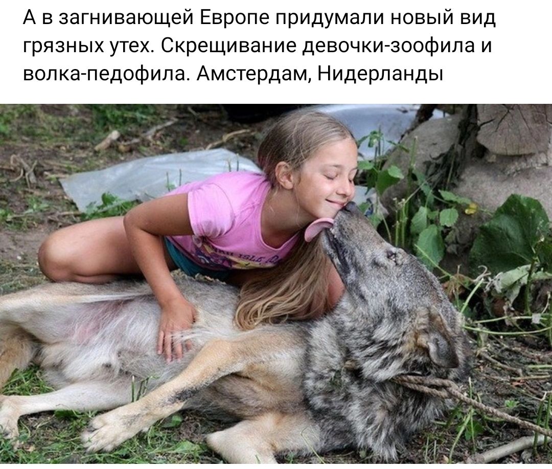 А в загнивающей Европе придумали новый вид грязных утех Скрещивание девочкизовфипа и волкагпедофипа Амстердам Нидерланды