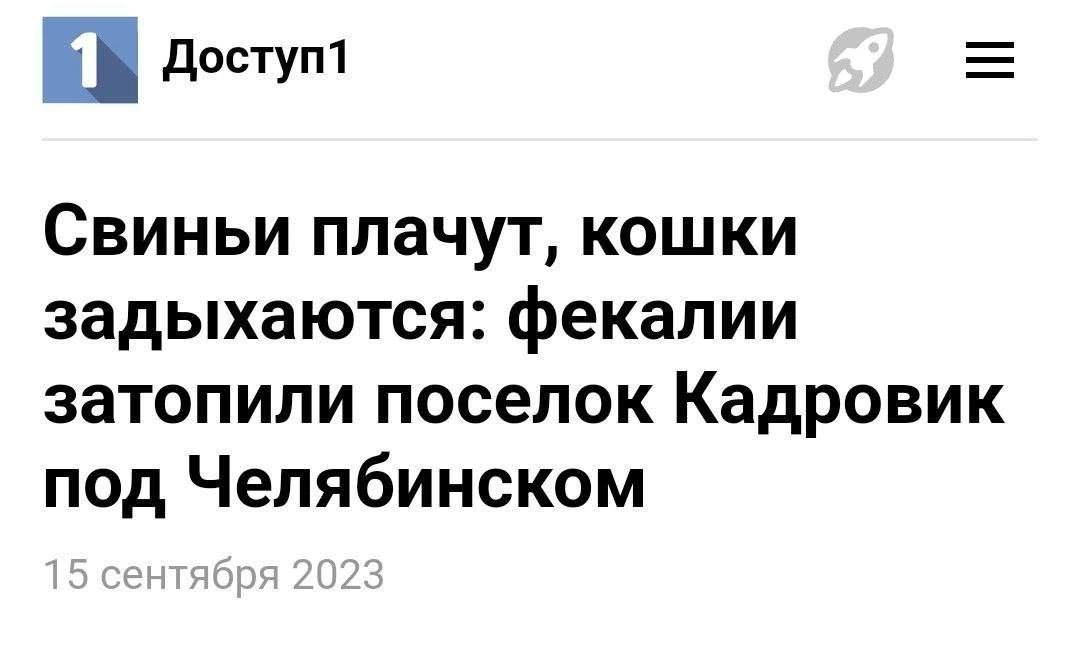 доступ1 Свиньи плачут кошки задыхаются фекалии затопили поселок Кадровик под Челябинском