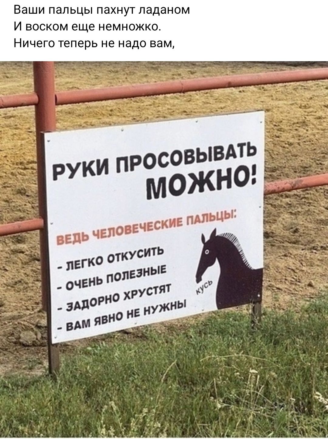 Ваши пальцы пахнуг ладаном И воском еще немножко Ничего теперь не надо вам