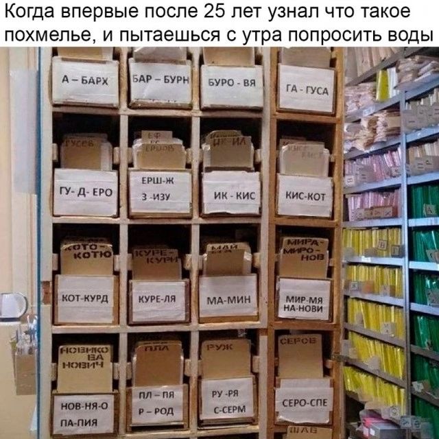 Когда впервые после 25 пет узнал что такое похмелье и пытаешься утра попросить воды Ъ во пи Ц ии м ш