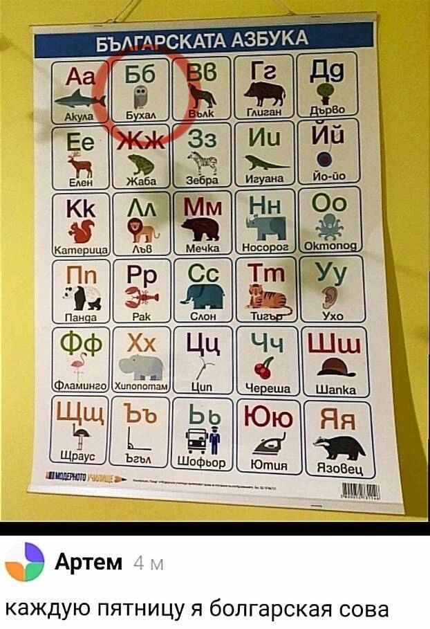 ЪНМЭСКАТА АБУКА каждую ПЯТНИЦУ Я болгарская СОВЗ