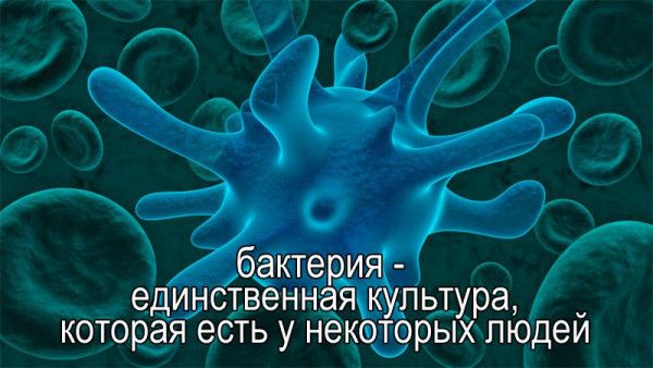 а ера 0 е са ае 5 в Ия_ с0о йС ы