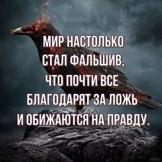 мирндстолькп стдл ФАЛЬШИВ ЧТО ПОЧТИ ВСЕ БЛАГОДАРЯТ ЗА ЛПЖЬ И ОБИЖАЮТЕН НА ПРАВДУ