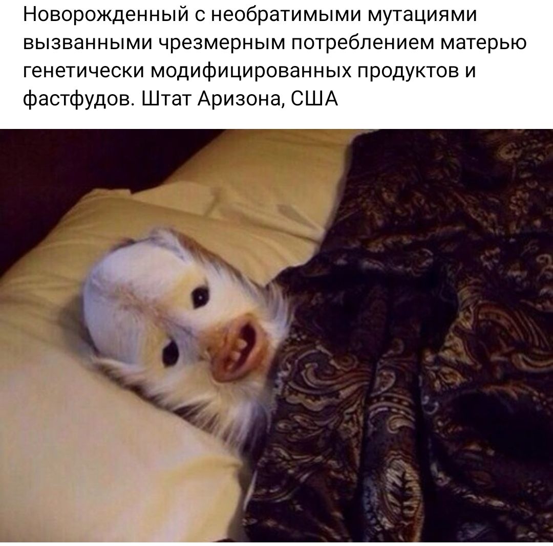 Новорожденным о неабратимыми мутациями вызванными чрезмерным потреблением матерью генетически модифицированных продуктов и ФастФУдов Штат Аризона США