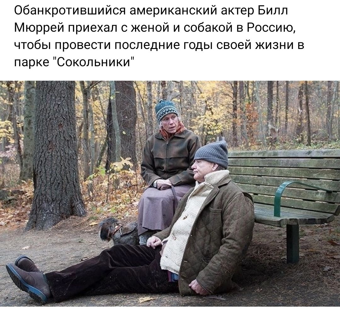 Обанкротившийся американский актер Билл Мюррей приехал а женой и собакой е Россию чтобы провести последние годы своей жизни а парке Сокольники