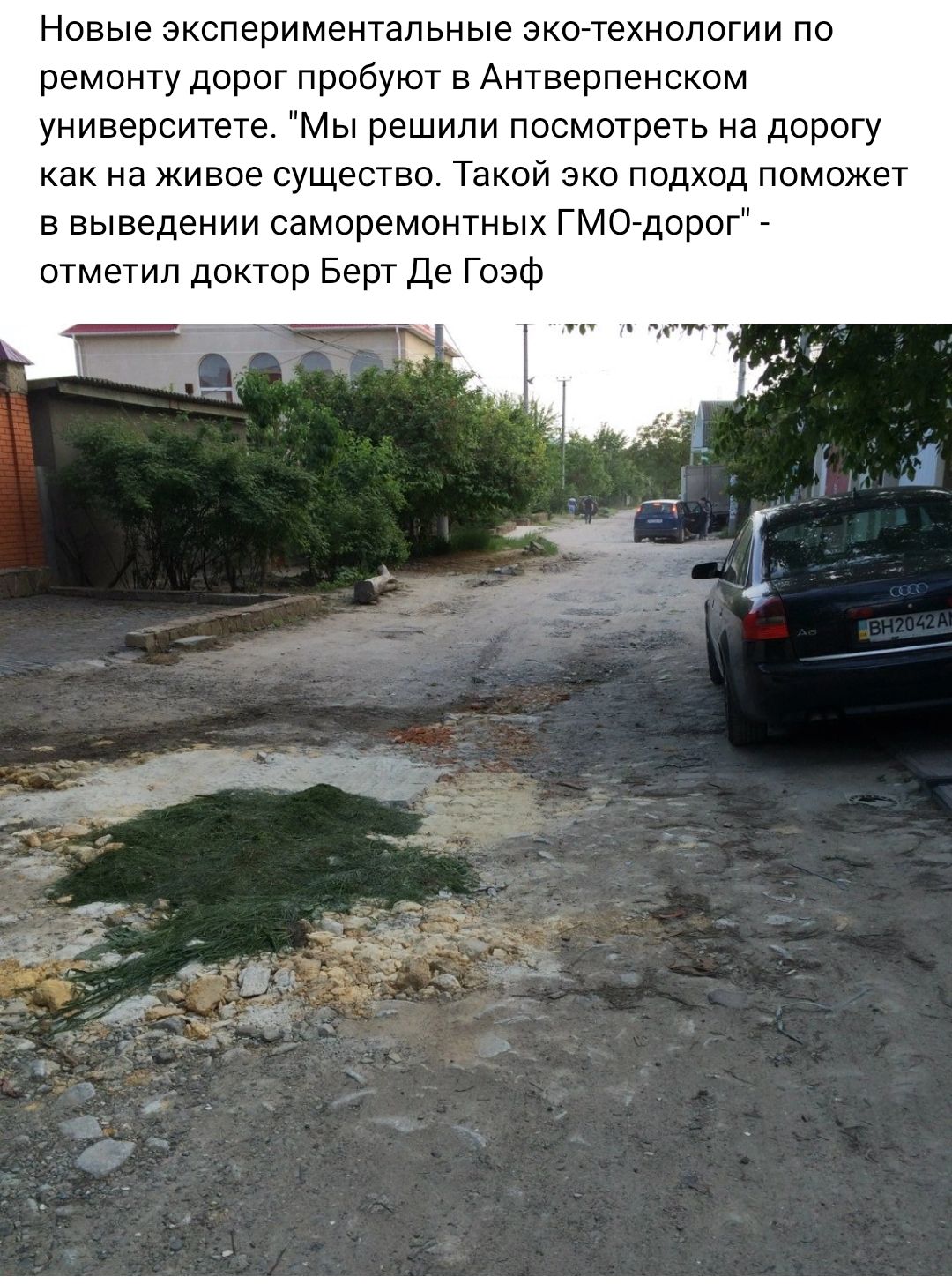 Новые экспериментальные эко технологии по ремонту дорог пробуют в Антверпенском университете Мы решили посмотреть на дорогу как на живое существо Такой эко подход поможет в выведении саморемонтных ГМОтдорог _ отметил доктор Берт Де Гозф