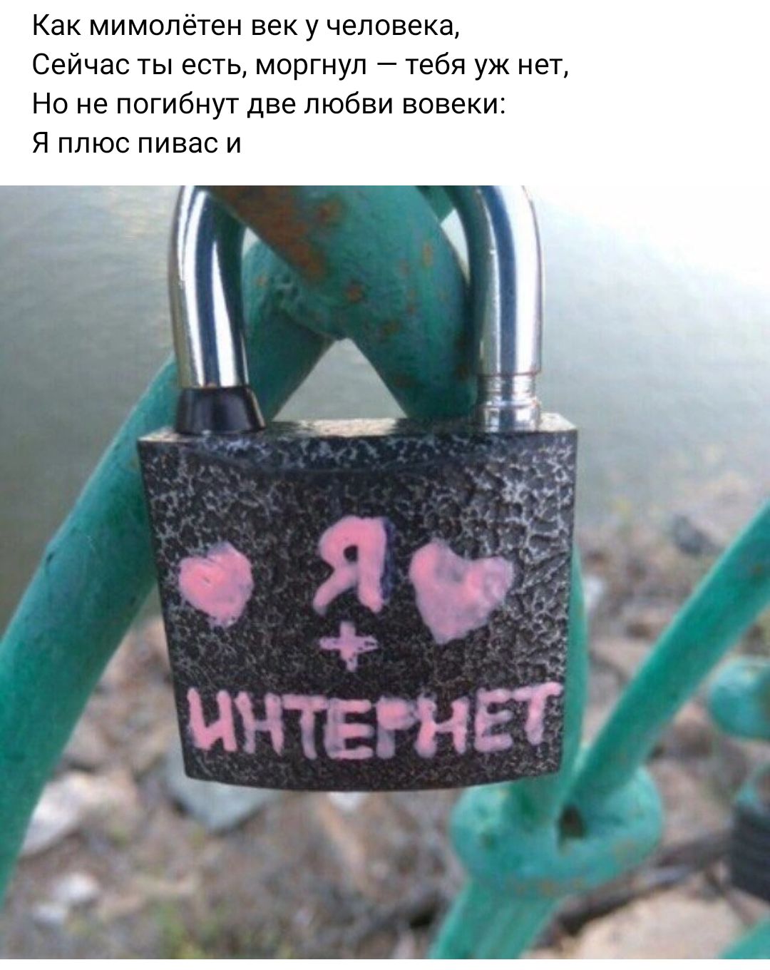Как мимопётен век у человека Сейчас ты есть моргнул тебя уж нет Но не погибнут две любви вовеки Я плюс пивас и
