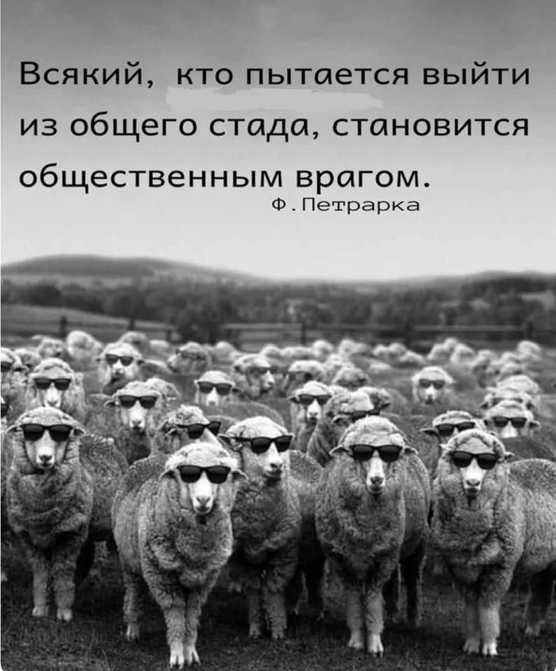 Всякий кто пытается выйти из общего стада становится общественным ВрЙГОМ Ф Петрарка