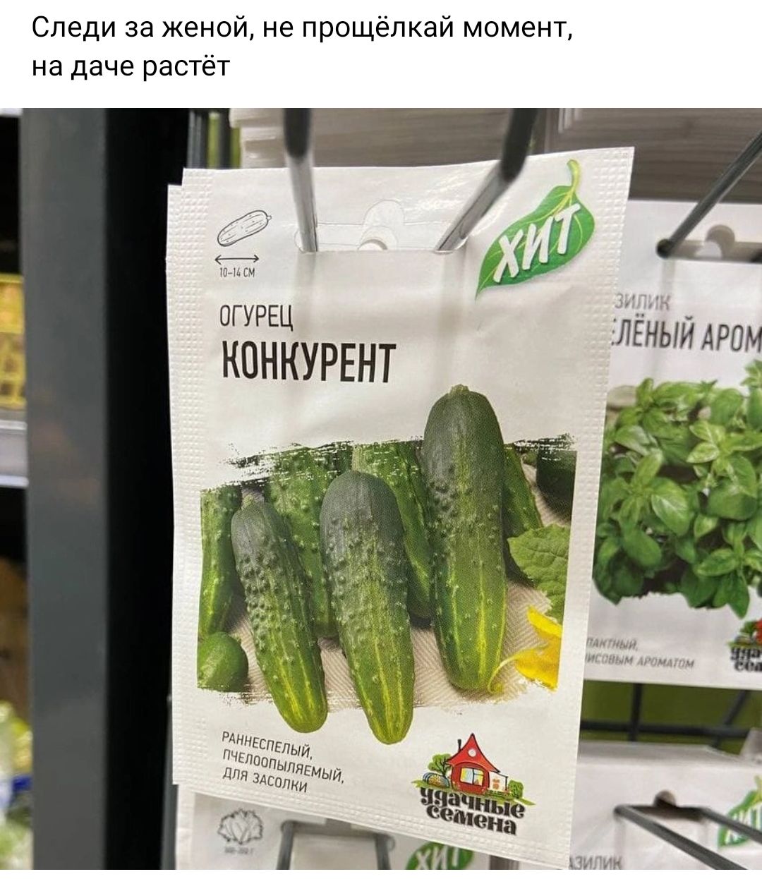 Следи за женой не прощёпкай момент на даче растет огурщ КПНКУРЕНТ лгный Арт