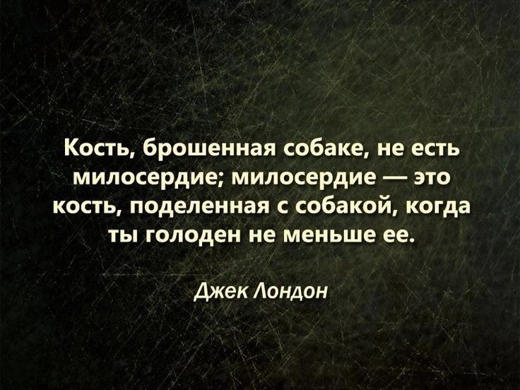 Кость брошенная собаке ие епь милосердие милосердие эю кость поделенная С собакой когда Ты голоден не МЕНЬШЕ ЕЕ Джек Лондон