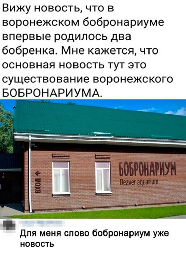 Вижу новость что в воронежском бобронариуме впервые родилось два бобренка Мне кажется что основная новость тут это существование воронежского БОБРОНАРИУМА Ё _ от для меня слово бобронариум уже новость