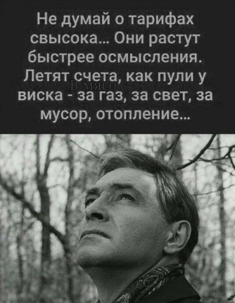 Не думай о тарифах свысока Они растут быстрее осмысления Летят счета как пули у виска за газ за свет за мусор отопление