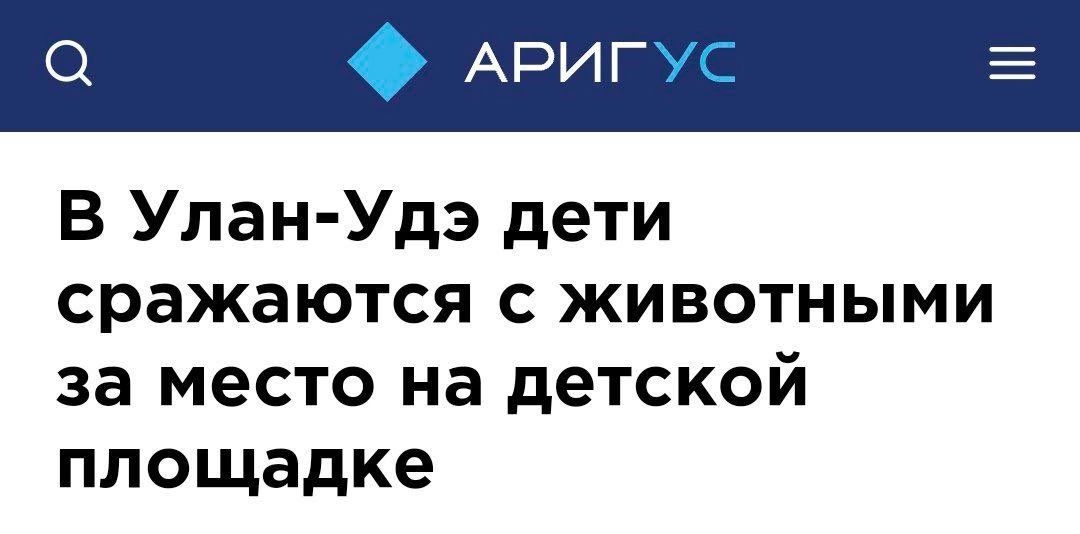 о АРИГУС Н В Улан Удэ дети сражаются с животными за место на детской площадке