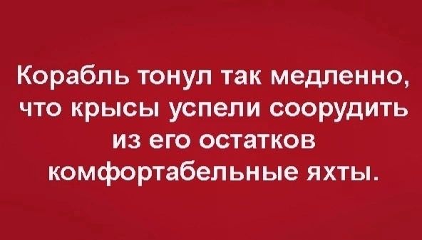 Корабль тонул так медленно что крысы успели соорудить из его остатков комфортабельные яхты