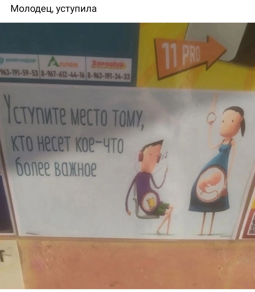Молодец уступила