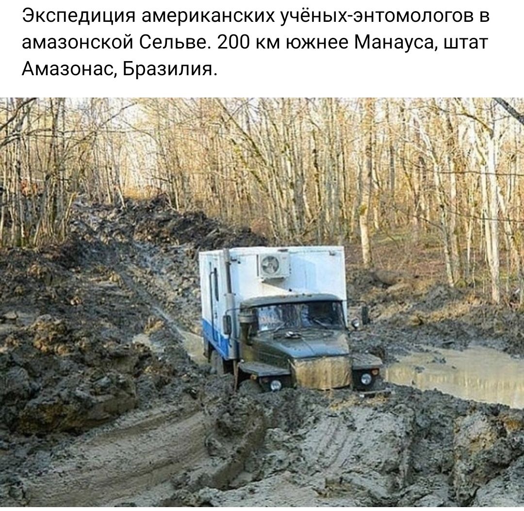 Экспедиция американских ученыхзнтомопогон в амазонской Сельва 200 км южнее Манауса шгат Амазонас Бразилия