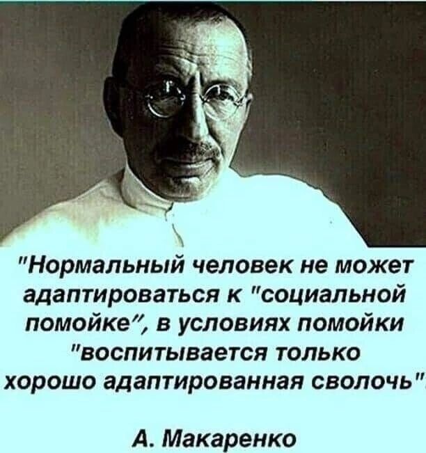 Нормальный человек не может адаптироваться к социальной помойке в условиях помойки воспитывается только Хорошо адаптированная СВОПОЧЬ А Макаренко