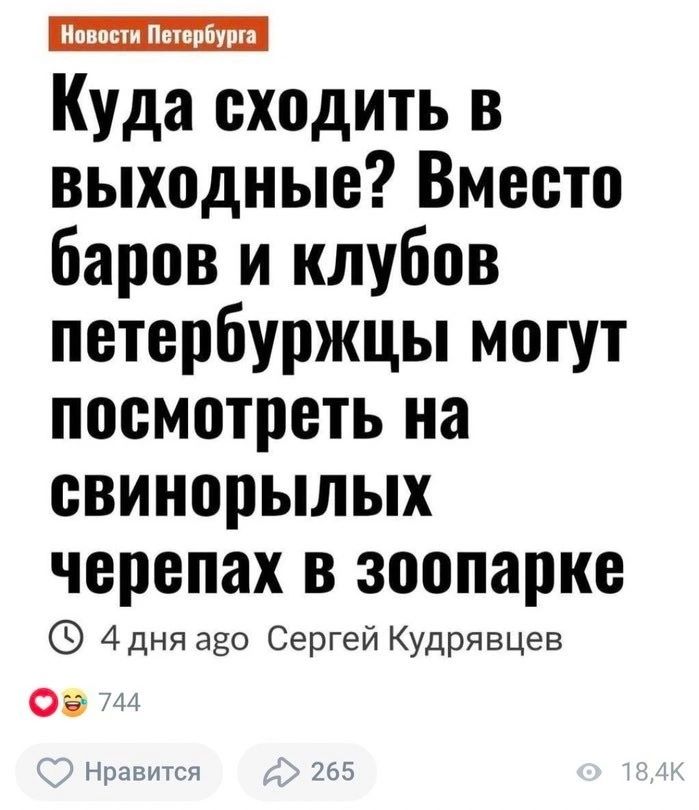 Куда сходить в выходные Вместо баров и клубов петербуржцы могут посмотреть на свинорылых черепах в зоопарке 4 Дня аЁо Сергей Кудрявцев ОБ