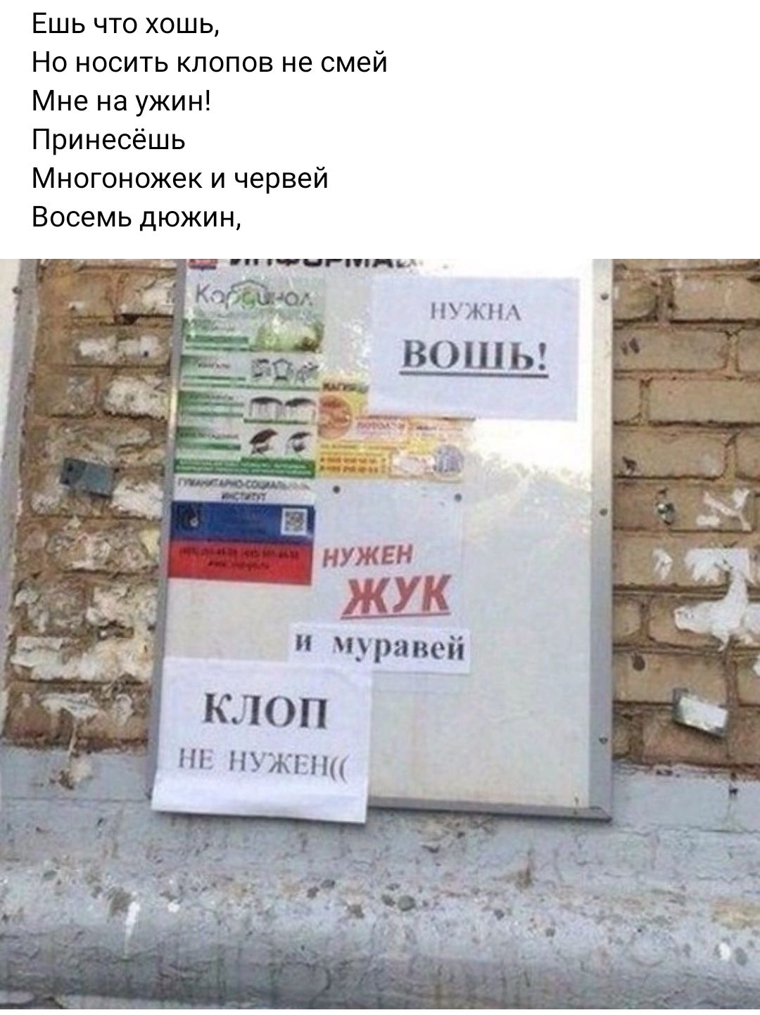 Ешь что хошь Но носить клопов не смей Мне на ужин Принесёшь Миогоножек и червей Восемь дюжин мы 80 _ КЛОП хм