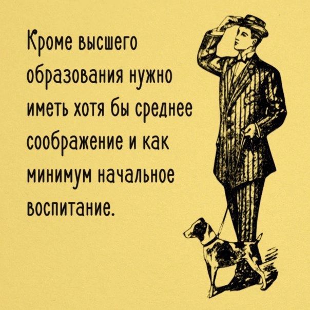 Кроме высшего образования нужно иметь хотя бы среднее соображение и как минимум начальное воспитание