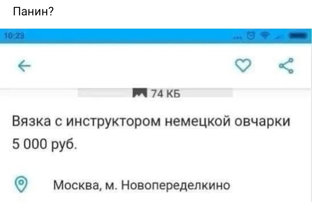 Панин _ Ч 7315 Вязка инструктором немецкой овчарки 5 000 руб Москва м Новопеределкино